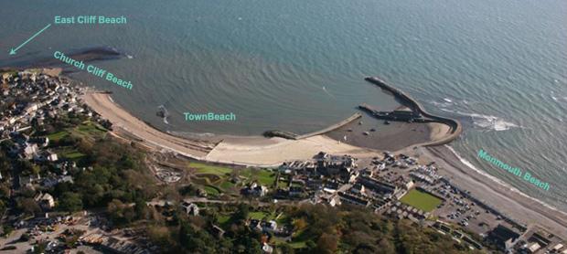 dog friendly beaches lyme regis